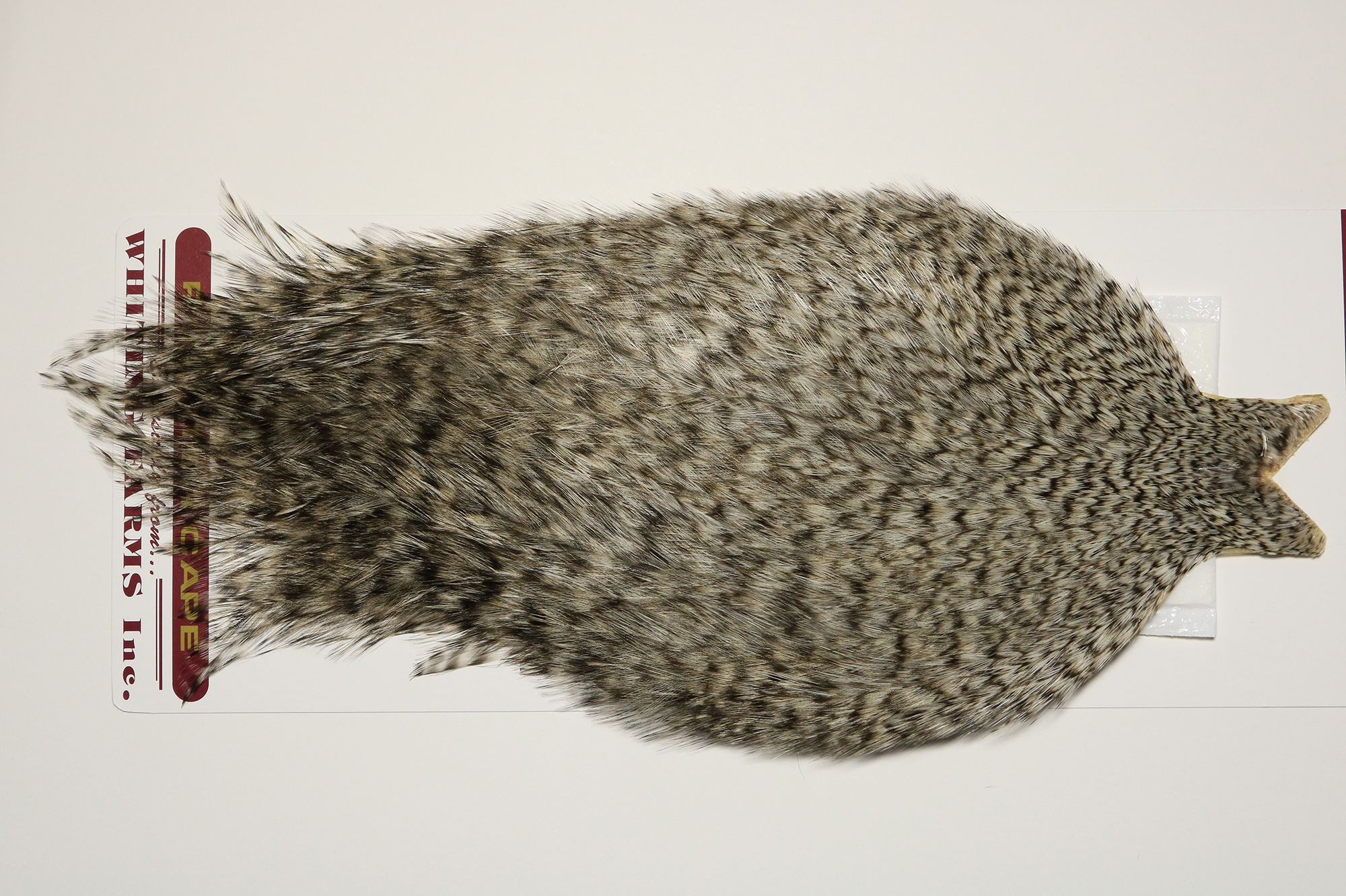 CDLC3801 Coq De Leon Cape Grizzly JimsFlyCo