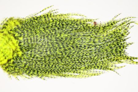 7534 Coq De Leon Dry Fly Hackle, Bronze Grade Saddle Yellow Chartreuse