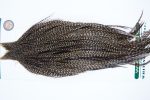 1085 Hebert Dry Fly Hackle, Bronze Grade 10-24 Grizzly Variant Ties Sizes 10-24 1085 Hebert Dry Fly Hackle, Bronze Grade 10-24 Grizzly Variant Ties Sizes 10-24