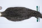 1089 Hebert Dry Fly Hackle, Bronze Grade Rooster Cape Grizzly Variant Ties Sizes 10-22 1089 Hebert Dry Fly Hackle, Bronze Grade Rooster Cape Grizzly Variant Ties Sizes 10-22