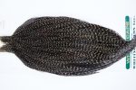 1229 Hebert Dry Fly Hackle, Pro Grade 10-22 Grizzly Variant Ties Sizes 10-22 1229 Hebert Dry Fly Hackle, Pro Grade 10-22 Grizzly Variant Ties Sizes 10-22