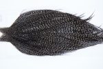 1232 Hebert Dry Fly Hackle, Pro Grade 12-24 Grizzly Variant Ties Sizes 12-24 1232 Hebert Dry Fly Hackle, Pro Grade 12-24 Grizzly Variant Ties Sizes 12-24
