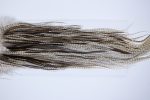 1365 Hebert Dry Fly Hackle, Bronze Grade 14 Dun Grizzly Ties Sizes 14 1365 Hebert Dry Fly Hackle, Bronze Grade 14 Dun Grizzly Ties Sizes 14