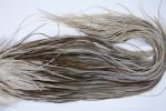 1841 Heritage Dry Fly Hackle, 1 Grade Rooster Saddle Variant Ties Size 12-14