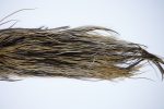 1853 Heritage Dry Fly Hackle, 2 Grade Rooster Saddle Heritage Dry Fly Hackle, Vermiculated Badger Ties Size 14-16 1853 Heritage Dry Fly Hackle, 2 Grade Rooster Saddle Heritage Dry Fly Hackle, Vermiculated Badger Ties Size 14-16