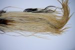 1905 Heritage Dry Fly Hackle, 2 Grade Rooster Saddle Variant Ties Size 14-16 1905 Heritage Dry Fly Hackle, 2 Grade Rooster Saddle Variant Ties Size 14-16