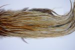 1906 Heritage Dry Fly Hackle, 2 Grade Rooster Saddle Variant Ties Size 12-16 1906 Heritage Dry Fly Hackle, 2 Grade Rooster Saddle Variant Ties Size 12-16