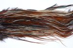 1909 Heritage Dry Fly Hackle, 2 Grade Rooster Saddle Furnace Ties Size 12-16 1909 Heritage Dry Fly Hackle, 2 Grade Rooster Saddle Furnace Ties Size 12-16