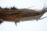 2009 Heritage Dry Fly Hackle, 3 Grade Rooster Saddle Furnace Ties Size 14-16 2009 Heritage Dry Fly Hackle, 3 Grade Rooster Saddle Furnace Ties Size 14-16