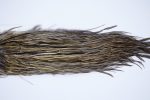 2175 Yellowstone Dry Fly Hackle, 1 grade Rooster Saddle Vermiculated Dun Ties Size 12 2175 Yellowstone Dry Fly Hackle, 1 grade Rooster Saddle Vermiculated Dun Ties Size 12