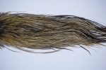 2190 Yellowstone Dry Fly Hackle, 1 grade Rooster Saddle Badger Ties Size 14-16 2190 Yellowstone Dry Fly Hackle, 1 grade Rooster Saddle Badger Ties Size 14-16