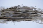2229 Yellowstone Dry Fly Hackle, 2 grade Rooster Saddle Variant Ties Size 12-14 2229 Yellowstone Dry Fly Hackle, 2 grade Rooster Saddle Variant Ties Size 12-14