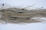 2251 Yellowstone Dry Fly Hackle, 2 grade Rooster Saddle Light Dun Ties Size 14-16 2251 Yellowstone Dry Fly Hackle, 2 grade Rooster Saddle Light Dun Ties Size 14-16