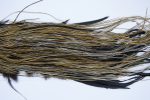 2281 Yellowstone Dry Fly Hackle, 2 grade Rooster Saddle Badger Ties Size 16-18 2281 Yellowstone Dry Fly Hackle, 2 grade Rooster Saddle Badger Ties Size 16-18