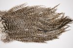 2560 Coq De Leon Dry Fly Hackle, Gold Grade Rooster Saddle Grizzly 2560 Coq De Leon Dry Fly Hackle, Gold Grade Rooster Saddle Grizzly