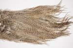 2578 Coq De Leon Dry Fly Hackle, Rooster Saddle Grizzly Pardo