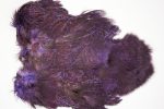 2533 Coq De Leon Chickabou Rooster Saddle Purple 2533 Coq De Leon Chickabou Rooster Saddle Purple