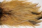 2554 Coq De Leon Dry Fly Hackle, Silver Grade Rooster Saddle Medium Ginger Ties Size None 2554 Coq De Leon Dry Fly Hackle, Silver Grade Rooster Saddle Medium Ginger Ties Size None