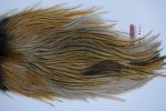 3048 Coq De Leon Dry Fly Hackle, Silver Grade Rooster Saddle Medium Ginger 3048 Coq De Leon Dry Fly Hackle, Silver Grade Rooster Saddle Medium Ginger