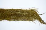 3288 Whiting Dry Fly Hackle, Bronze Grade Rooster Saddle Grizzly Golden Olive Ties Size 14-16 3288 Whiting Dry Fly Hackle, Bronze Grade Rooster Saddle Grizzly Golden Olive Ties Size 14-16