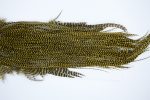 3289 Whiting Dry Fly Hackle, Bronze Grade Rooster Saddle Grizzly Golden Olive Ties Size 14-16 3289 Whiting Dry Fly Hackle, Bronze Grade Rooster Saddle Grizzly Golden Olive Ties Size 14-16