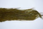 3290 Whiting Dry Fly Hackle, Bronze Grade Rooster Saddle Grizzly Golden Olive Ties Size 14-18 3290 Whiting Dry Fly Hackle, Bronze Grade Rooster Saddle Grizzly Golden Olive Ties Size 14-18