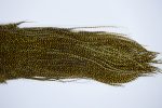 3291 Whiting Dry Fly Hackle, Bronze Grade Rooster Saddle Grizzly Golden Olive Ties Size 12-16 3291 Whiting Dry Fly Hackle, Bronze Grade Rooster Saddle Grizzly Golden Olive Ties Size 12-16
