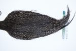 3380 Hebert Dry Fly Hackle, Bronze Grade Rooster Cape Grizzly Variant Ties Size 10-20 3380 Hebert Dry Fly Hackle, Bronze Grade Rooster Cape Grizzly Variant Ties Size 10-20