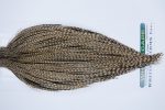3396 Hebert Dry Fly Hackle, Bronze Grade Rooster Cape Dun Grizzly Ties Size 8-20 3396 Hebert Dry Fly Hackle, Bronze Grade Rooster Cape Dun Grizzly Ties Size 8-20