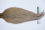 3398 Hebert Dry Fly Hackle, Bronze Grade Rooster Cape Dun Grizzly Ties Size 8-24 3398 Hebert Dry Fly Hackle, Bronze Grade Rooster Cape Dun Grizzly Ties Size 8-24