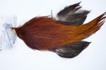3460 Beaverkill Dry Fly Hackle, Rooster Cape Brown Ties Size 8-18 3460 Beaverkill Dry Fly Hackle, Rooster Cape Brown Ties Size 8-18