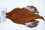 3462 Beaverkill Dry Fly Hackle, Rooster Cape Brown Ties Size 10-18 3462 Beaverkill Dry Fly Hackle, Rooster Cape Brown Ties Size 10-18