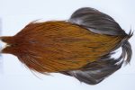 3517 Beaverkill Dry Fly Hackle, Rooster Cape Furnace Ties Size 10-18 3517 Beaverkill Dry Fly Hackle, Rooster Cape Furnace Ties Size 10-18