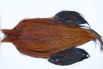 3518 Beaverkill Dry Fly Hackle, Rooster Cape Furnace Ties Size 10-20 3518 Beaverkill Dry Fly Hackle, Rooster Cape Furnace Ties Size 10-20