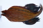 3521 Beaverkill Dry Fly Hackle, Rooster Cape Furnace Ties Size 10-20 3521 Beaverkill Dry Fly Hackle, Rooster Cape Furnace Ties Size 10-20