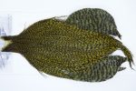 3528 Beaverkill Dry Fly Hackle, Rooster Cape Grizzly Olive Ties Size 8-20