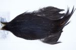 3555 Beaverkill Dry Fly Hackle, Rooster Cape Black Ties Size 10-22