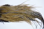 3583 Beaverkill Dry Fly Hackle, Rooster Saddle Badger Ties Size 16-18 3583 Beaverkill Dry Fly Hackle, Rooster Saddle Badger Ties Size 16-18