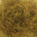 Arizona Diamond Dub – Golden Olive