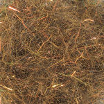 Arizona Diamond Dub – Dark Copper Mocha