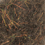 Arizona Diamond Dub – Dark Oak