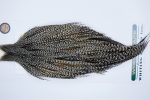 3652 Hebert Dry Fly Hackle, Bronze Grade Rooster Cape Grizzly Variant Ties Size 10-24 3652 Hebert Dry Fly Hackle, Bronze Grade Rooster Cape Grizzly Variant Ties Size 10-24