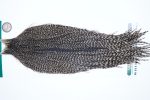 3654 Hebert Dry Fly Hackle, Bronze Grade Rooster Cape Grizzly Variant Ties Size 10-22 3654 Hebert Dry Fly Hackle, Bronze Grade Rooster Cape Grizzly Variant Ties Size 10-22