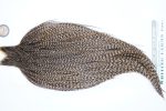 3658 Hebert Dry Fly Hackle, Bronze Grade Rooster Cape Dun Grizzly Ties Size 10-22 3658 Hebert Dry Fly Hackle, Bronze Grade Rooster Cape Dun Grizzly Ties Size 10-22