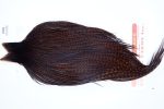3685 Whiting Dry Fly Hackle, Pro Grade Rooster Cape Grizzly Coachman Brown Ties Size 10-22 3685 Whiting Dry Fly Hackle, Pro Grade Rooster Cape Grizzly Coachman Brown Ties Size 10-22