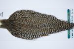 3878 Hebert Dry Fly Hackle, Pro Grade Rooster Cape Grizzly Variant Ties Size 10-24 3878 Hebert Dry Fly Hackle, Pro Grade Rooster Cape Grizzly Variant Ties Size 10-24