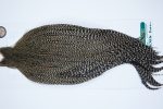 3910 Hebert Dry Fly Hackle, Bronze Grade Rooster Cape Grizzly Variant Ties Size 8-22 3910 Hebert Dry Fly Hackle, Bronze Grade Rooster Cape Grizzly Variant Ties Size 8-22