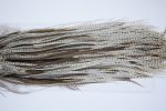 3975 Hebert Dry Fly Hackle, Bronze Grade Rooster Saddle Dun Grizzly Ties Size 10-12 3975 Hebert Dry Fly Hackle, Bronze Grade Rooster Saddle Dun Grizzly Ties Size 10-12