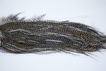3986 Hebert Dry Fly Hackle, Bronze Grade Rooster Saddle Grizzly Variant Ties Size 14-16 3986 Hebert Dry Fly Hackle, Bronze Grade Rooster Saddle Grizzly Variant Ties Size 14-16