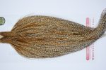 4060 Whiting Dry Fly Hackle, Gold Grade Rooster Cape Barred Medium Ginger Ties Size 10-22 4060 Whiting Dry Fly Hackle, Gold Grade Rooster Cape Barred Medium Ginger Ties Size 10-22